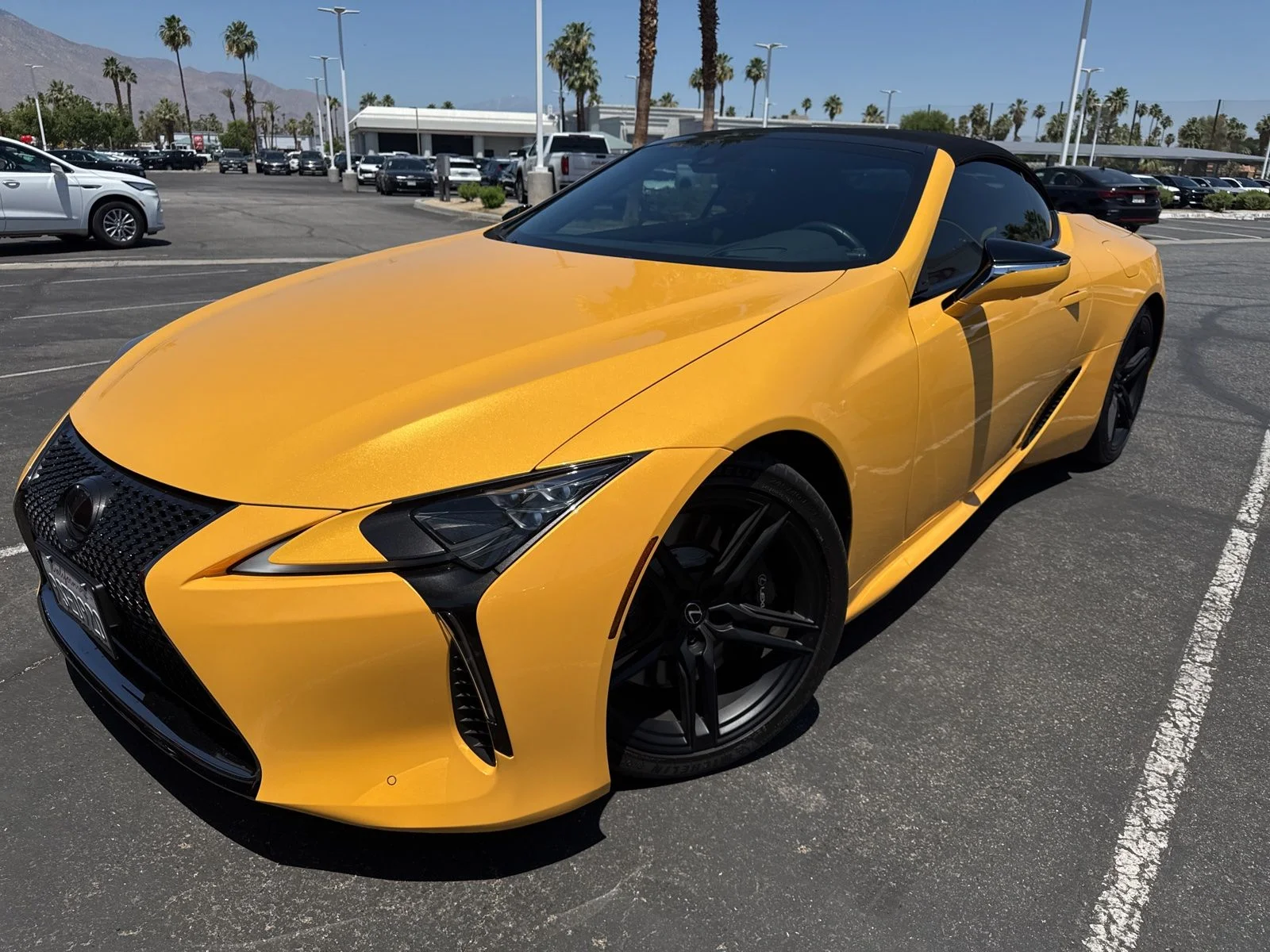 2024 Lexus LC 500 500 Convertible's photo