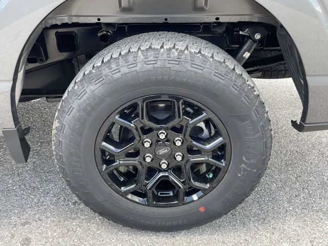 New 2026 Carbonized Gray Metallic Ford TCcustoms image 15
