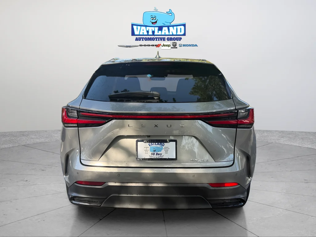 Used 2024 Silver Lexus 250 Premium image 4