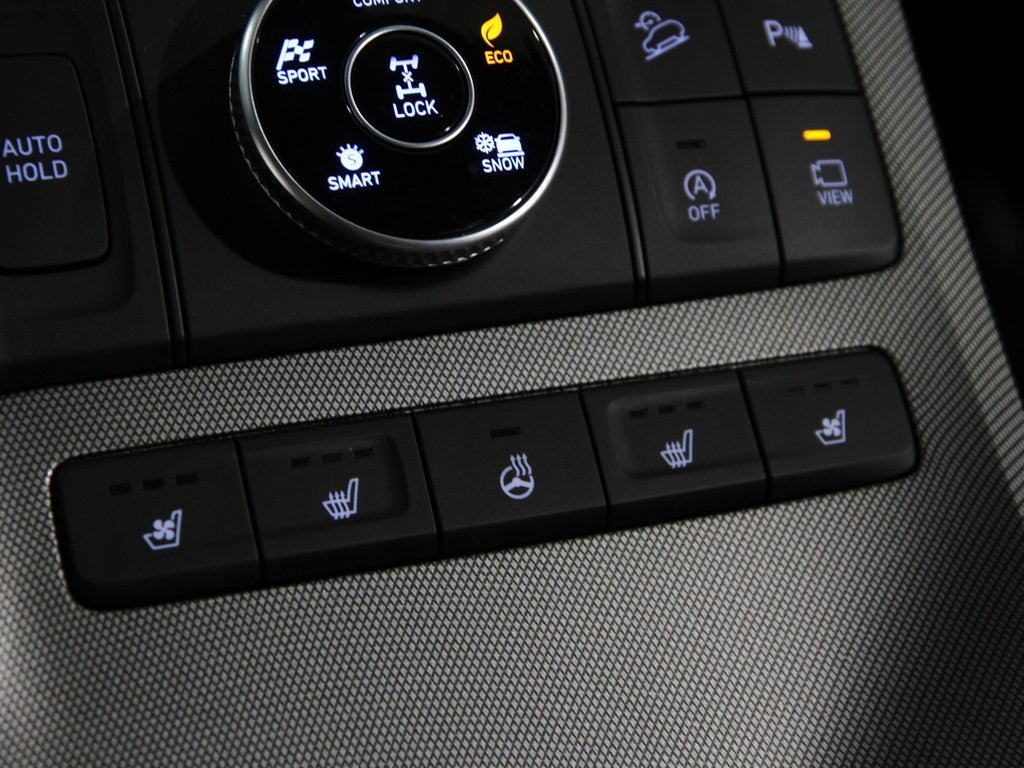 Used 2022 Rainforest Hyundai Calligraphy image 15