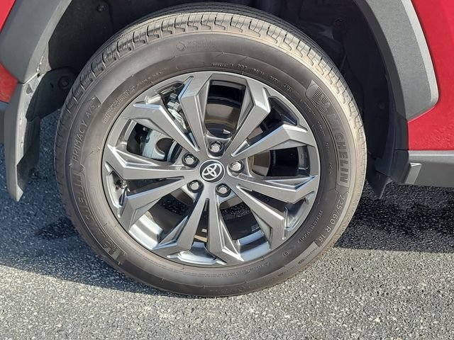Used 2025 Red Toyota XLE Premium image 7