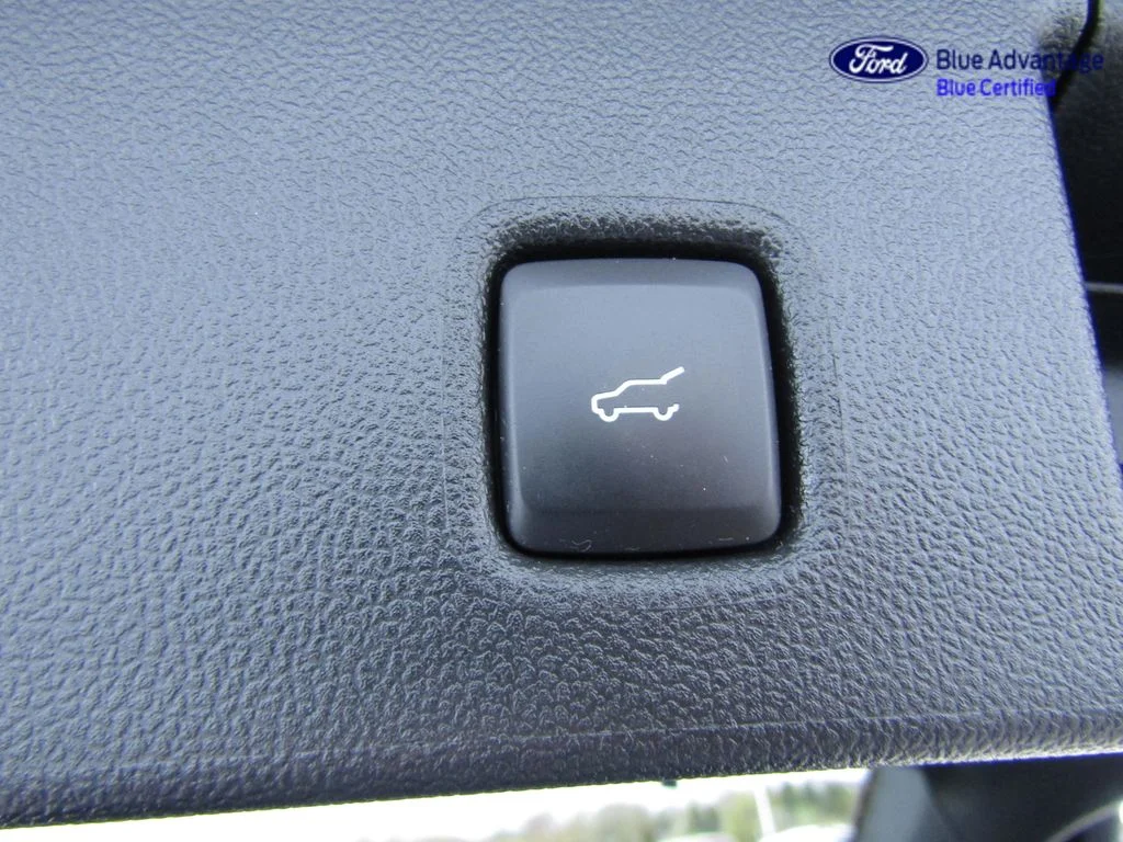 2023 Ford Escape ST-Line Elite - Photo 14