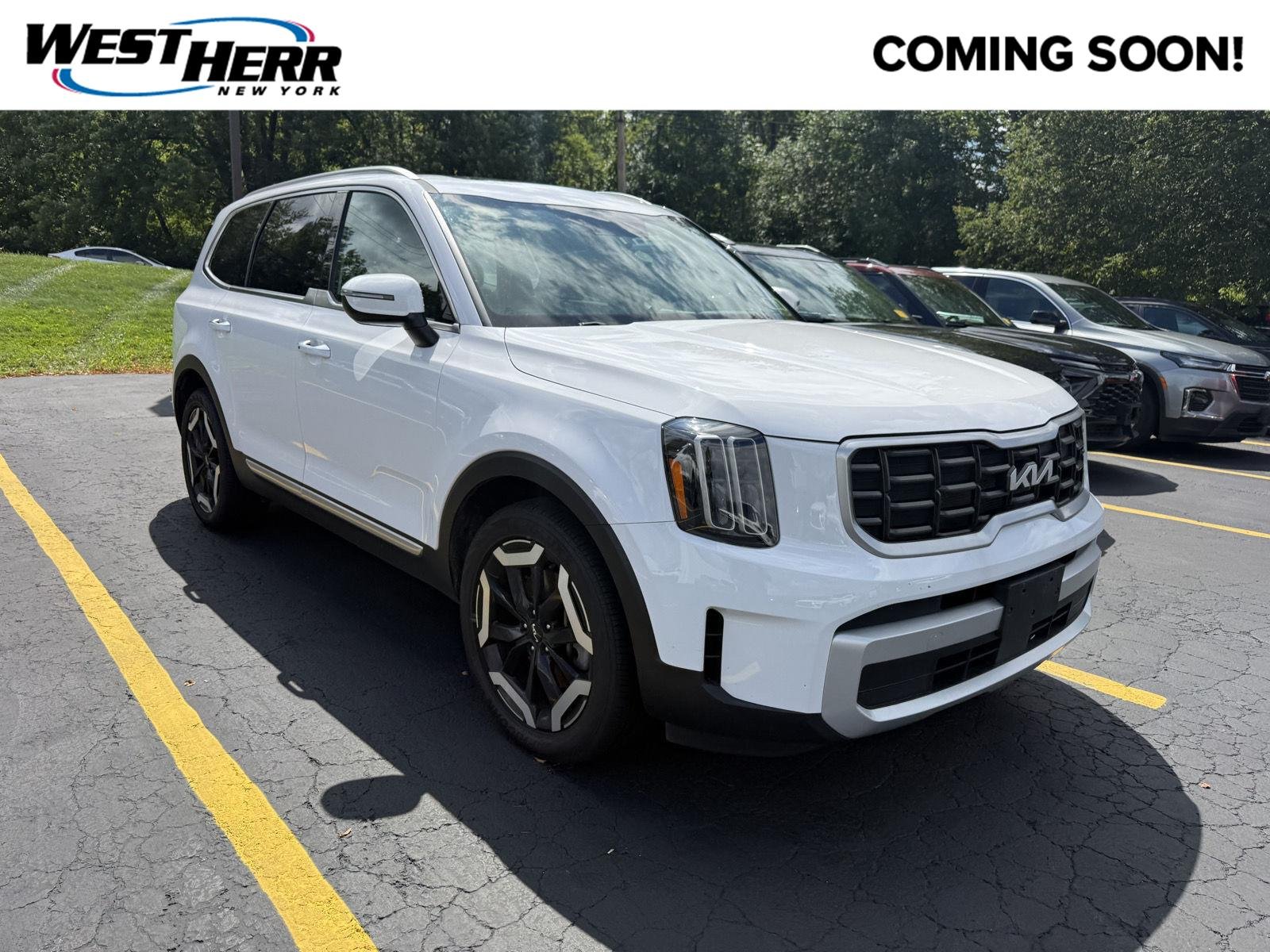 Used 2025 Glacial White Pearl Kia  image 1