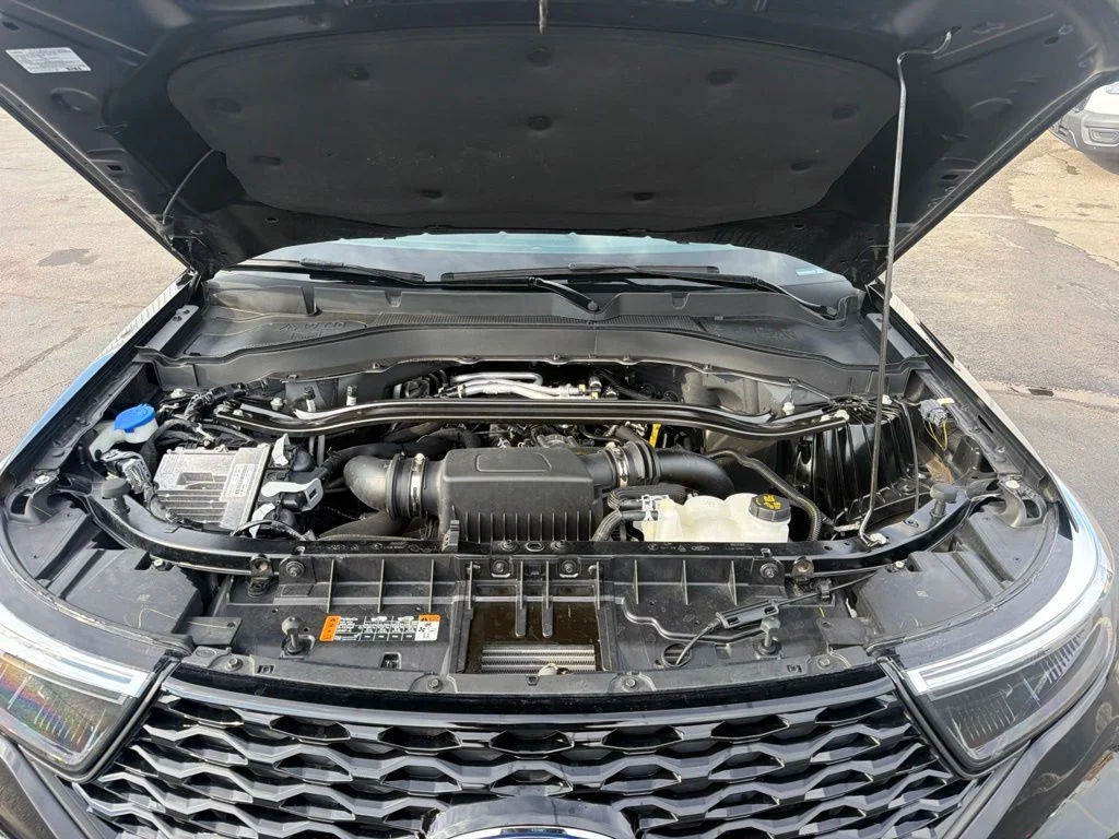 Photo 41