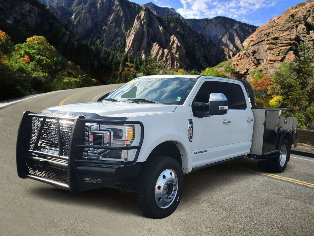 Used 2021 White Ford Platinum image 5