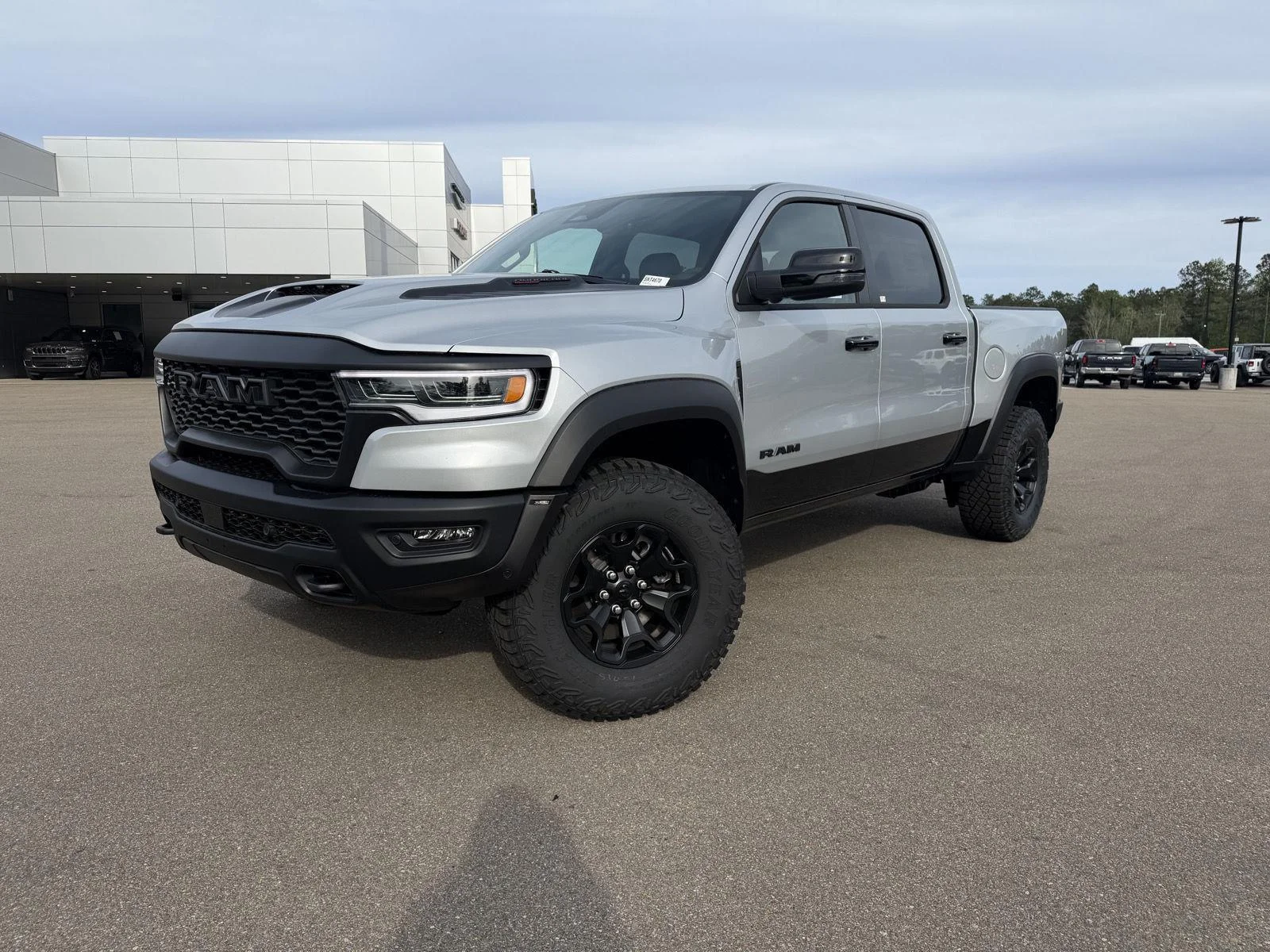 New 2026 Silver Zynith Exterior Paint RAM RHO image 1