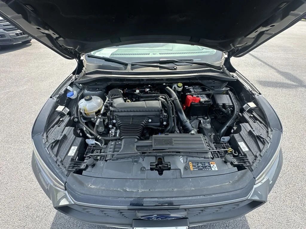Used 2025  Ford Platinum image 32