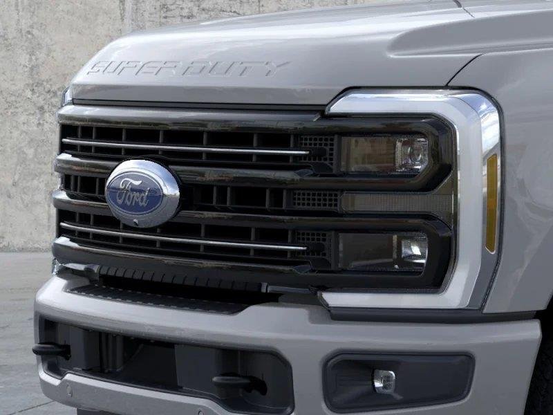 New 2026 Avalanche Gray Ford Platinum image 32