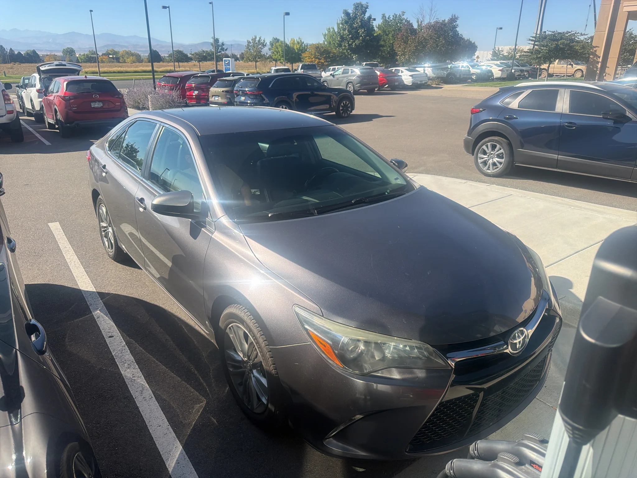 Used 2016 Predawn Gray Mica Toyota SE image 3