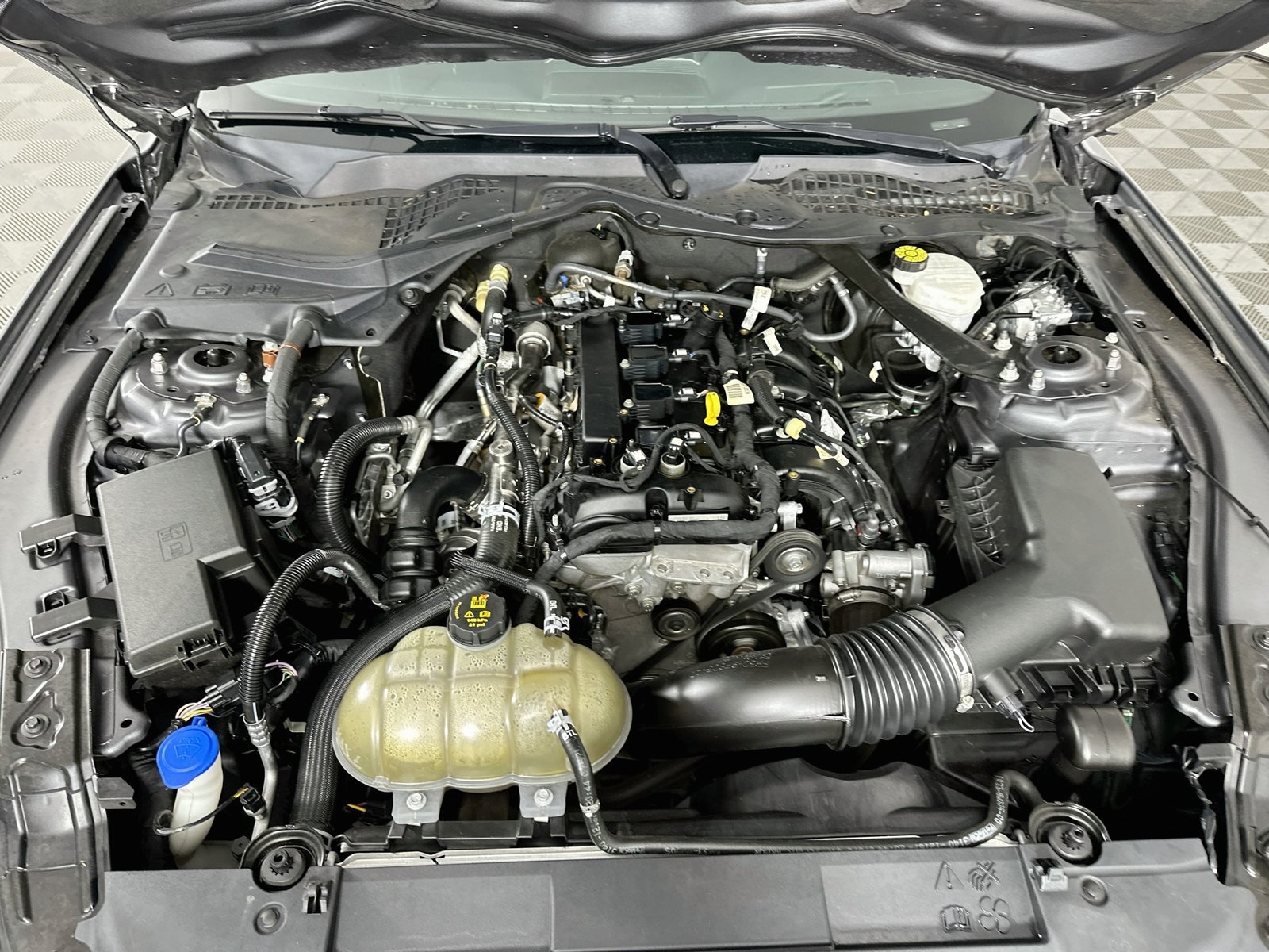 Used 2021 Gray Metallic Ford EcoBoost Premium image 28