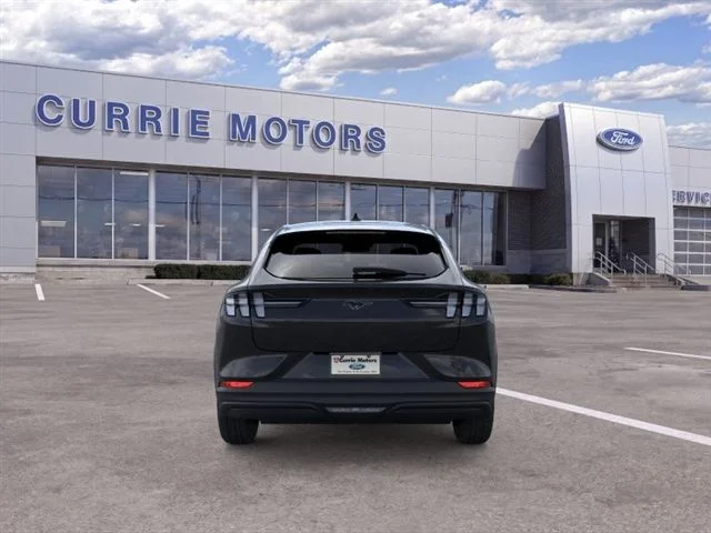 New 2026 Shadow Black Ford Premium image 27