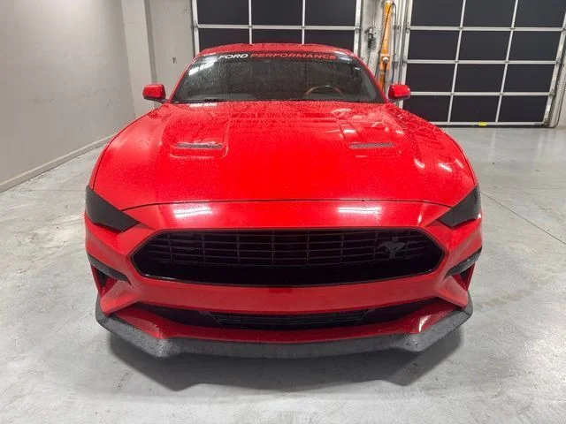 Used 2019 Red Ford GT Premium image 2