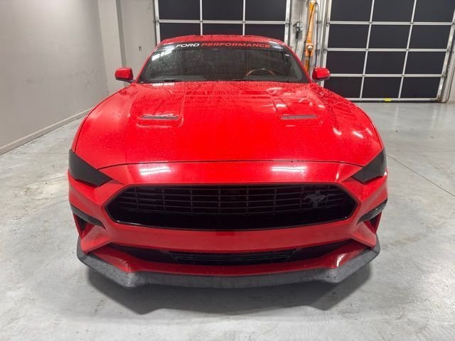 Used 2019 Red Ford GT Premium image 2