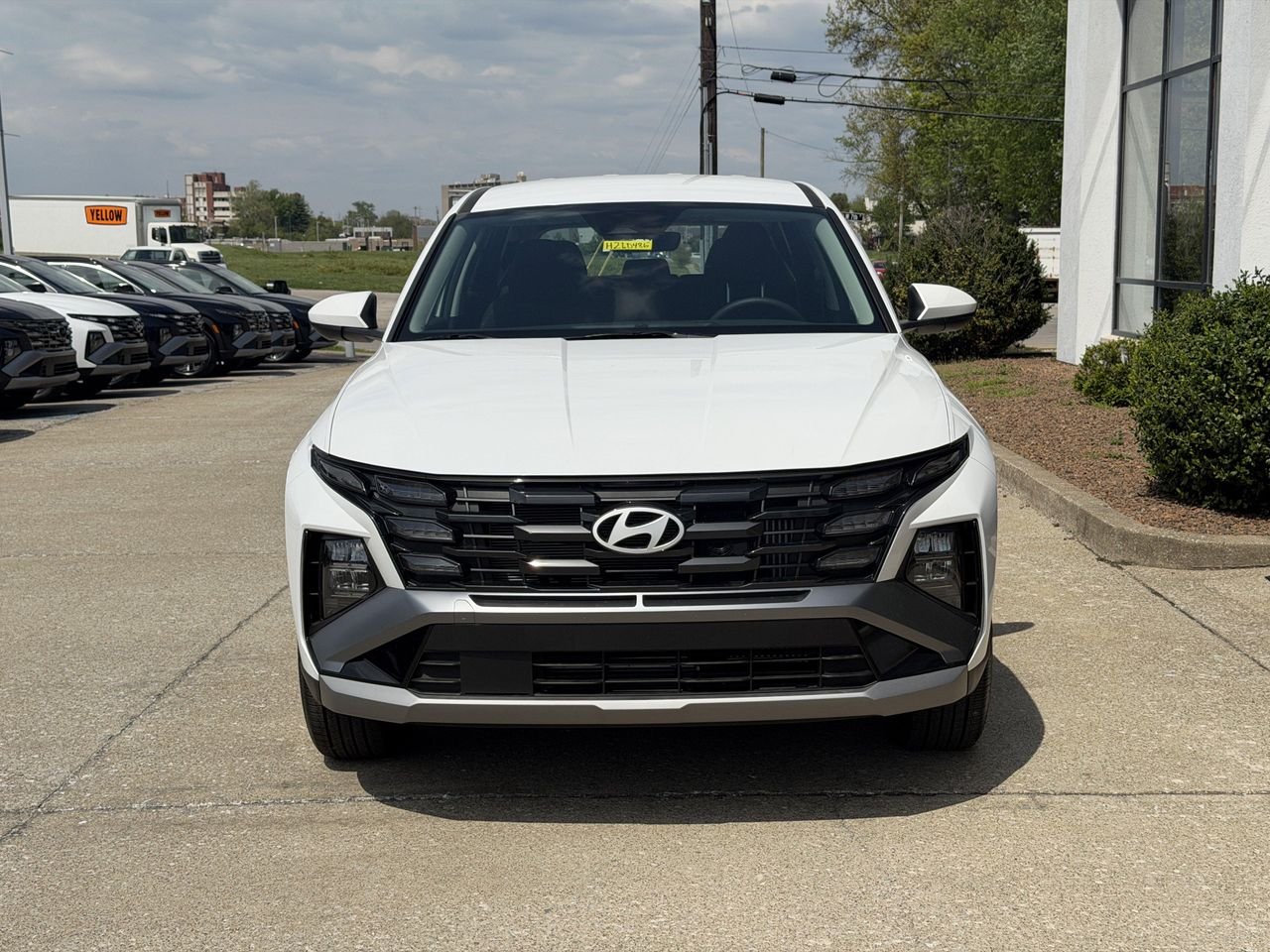 New 2026 Creamy White Pearl Hyundai Blue image 18