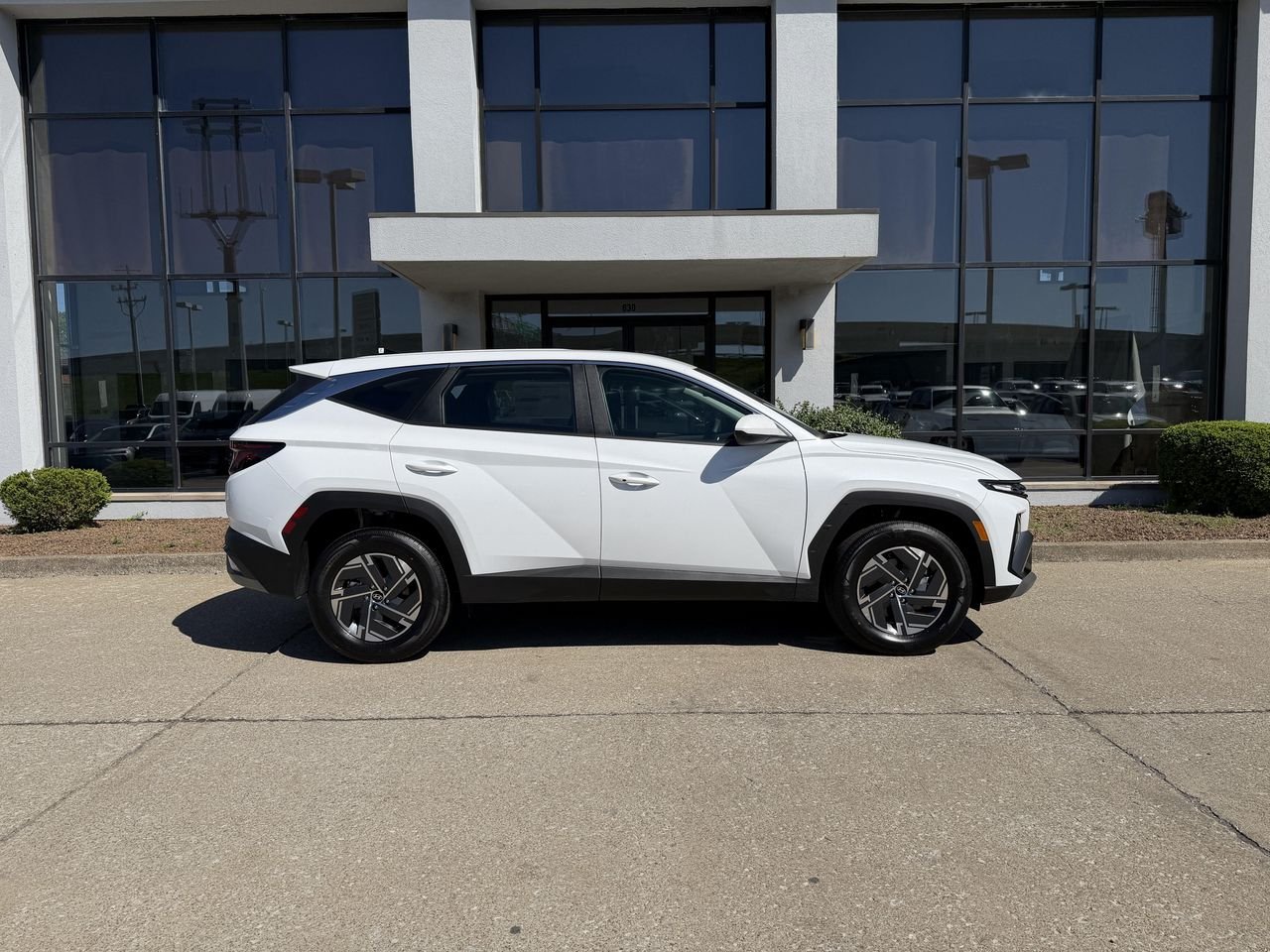 New 2026 Creamy White Pearl Hyundai Blue image 3