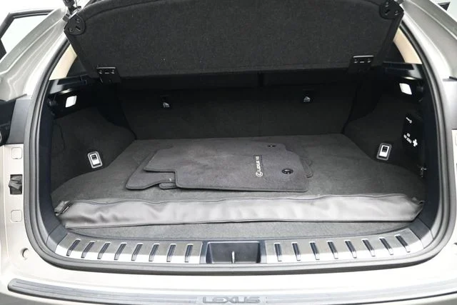 Used 2020 Silver Lexus 300 Base image 18