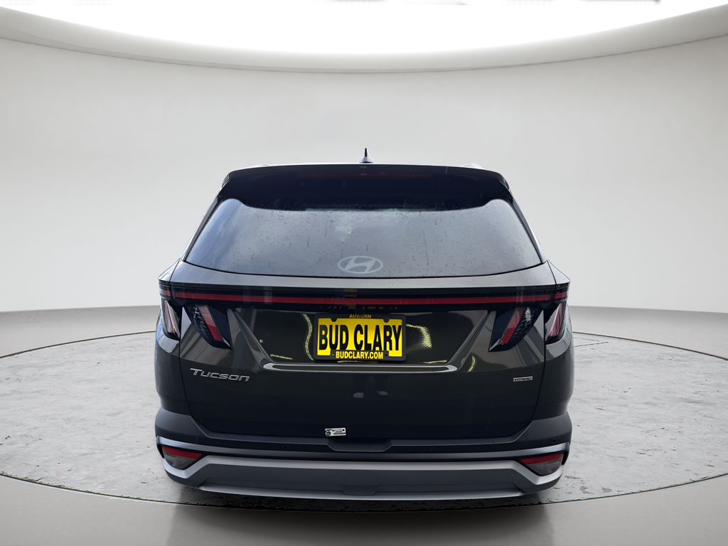 New 2026 Green Hyundai Limited image 4