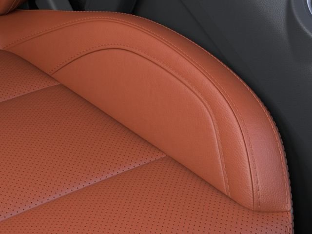 New 2026 Black Ford EcoBoost Premium image 16