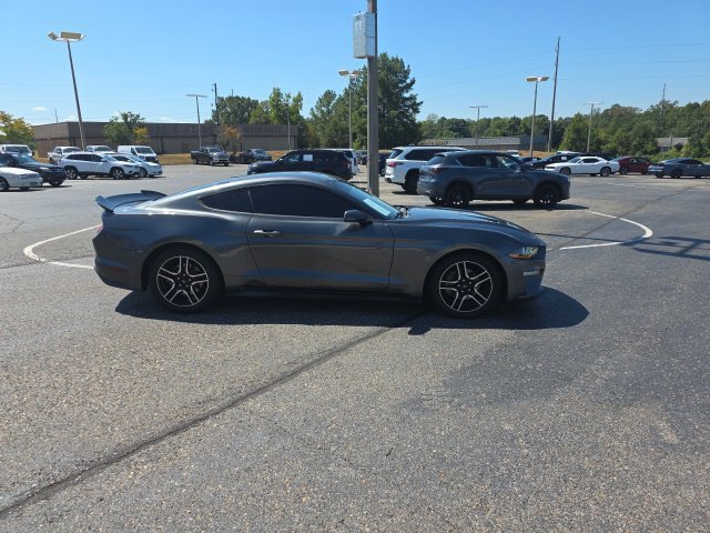 Used 2019 Gray Ford EcoBoost image 2