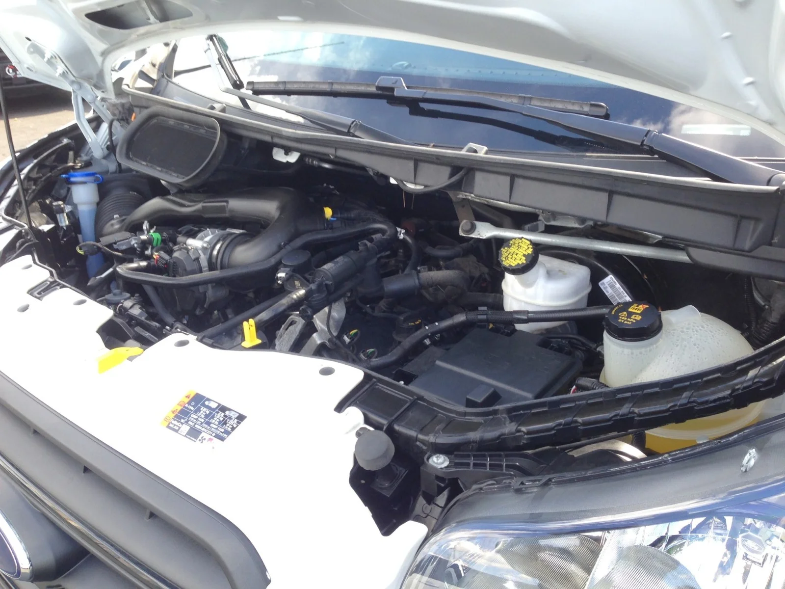 Used 2020 Oxford White Ford w/ rearCam image 7