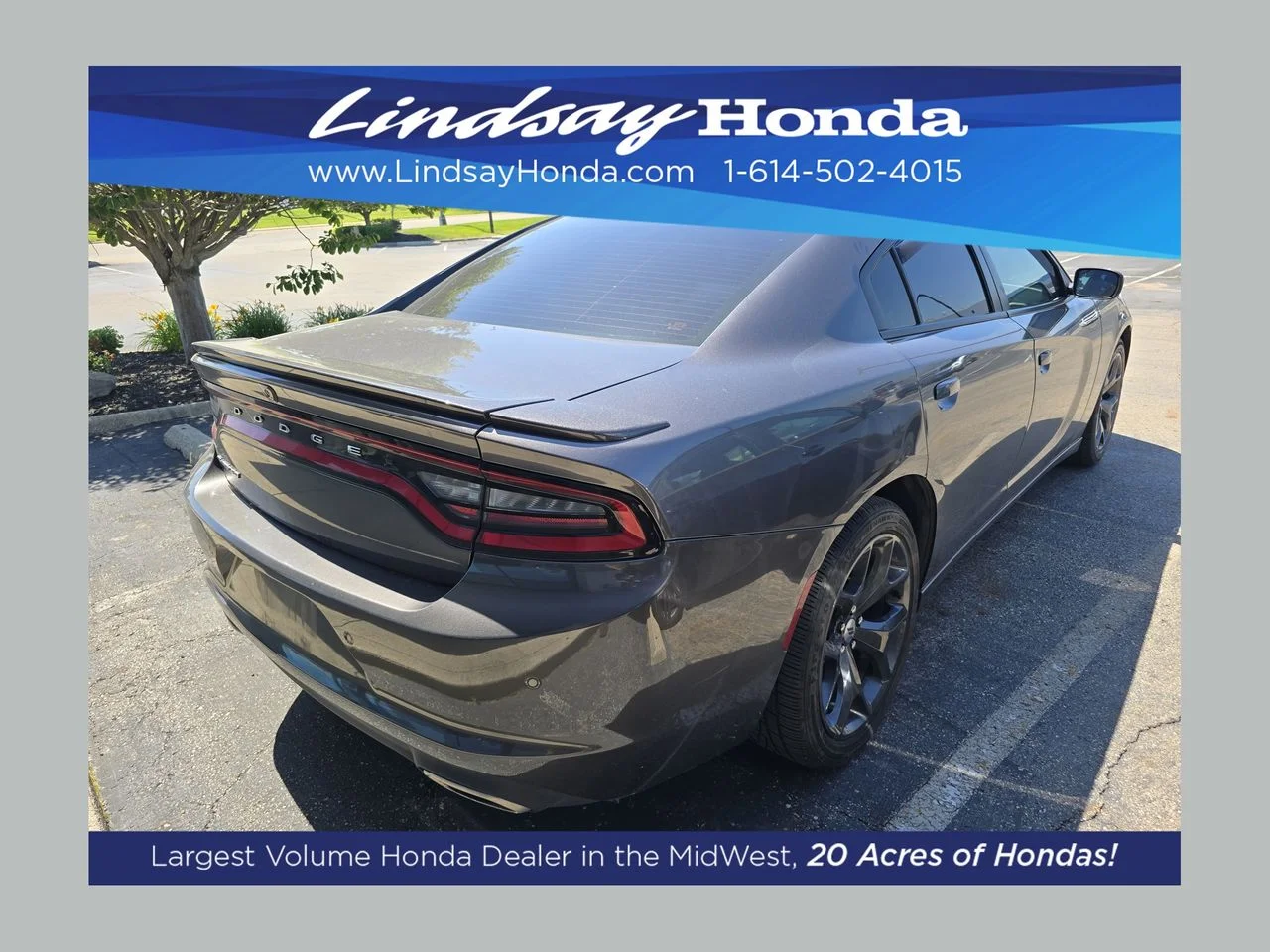 2019 Dodge Charger SXT's photo