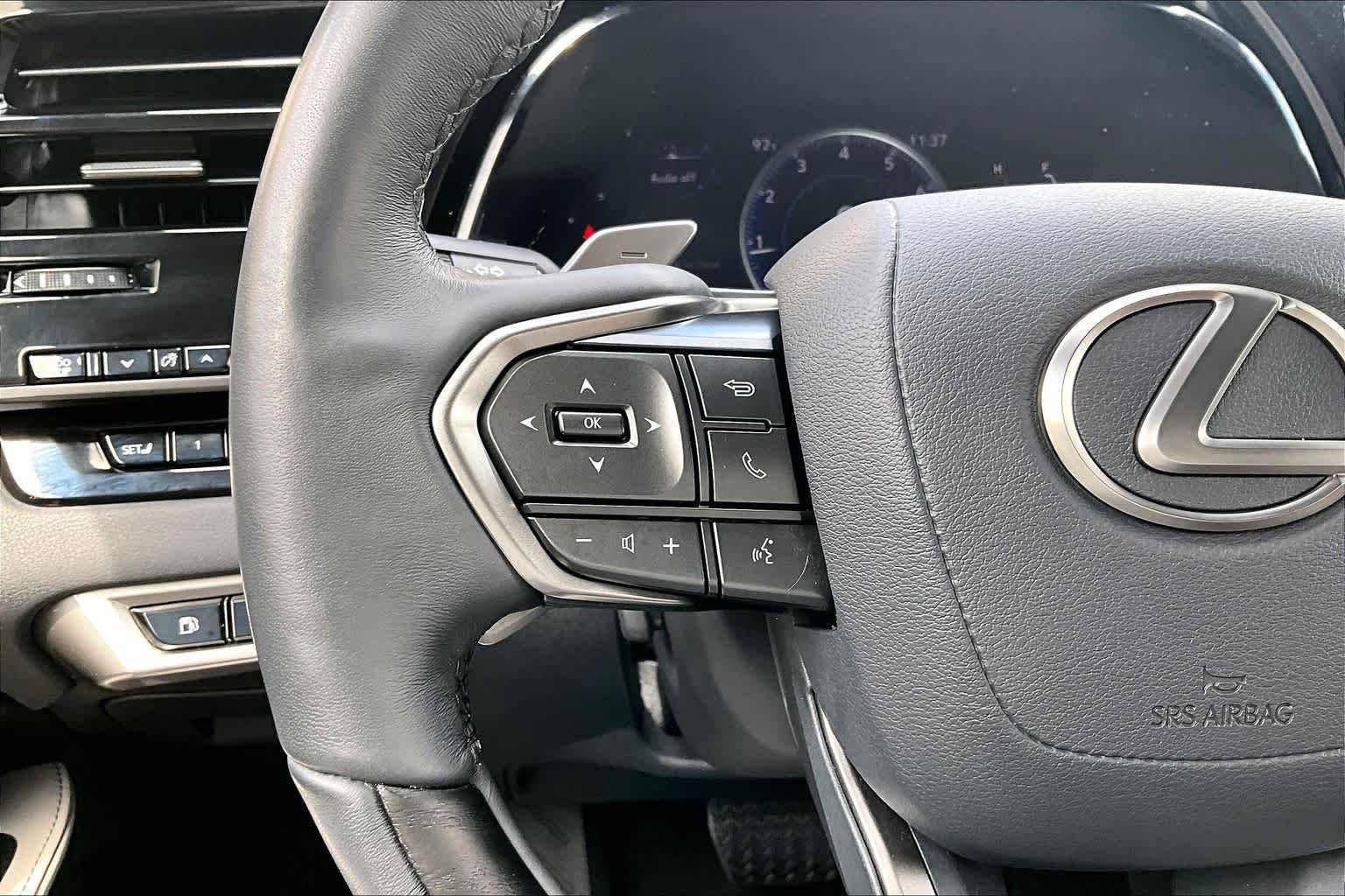 Used 2023 Iridium Lexus Premium image 22