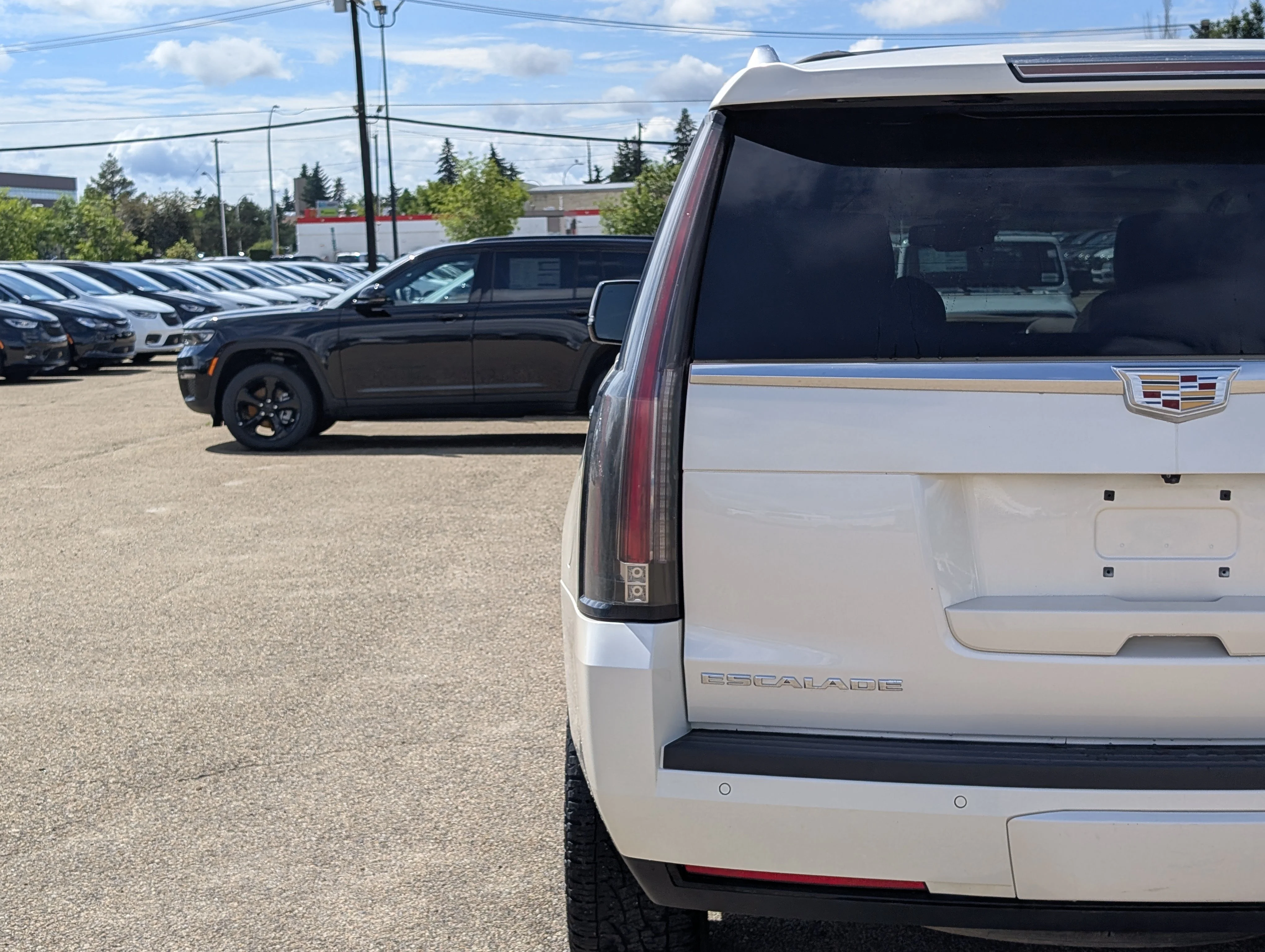 Used 2015 White Cadillac Platinum image 13