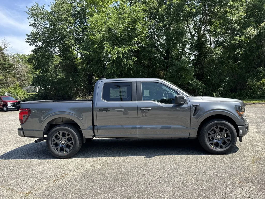 New 2026 Gray Ford STX image 8