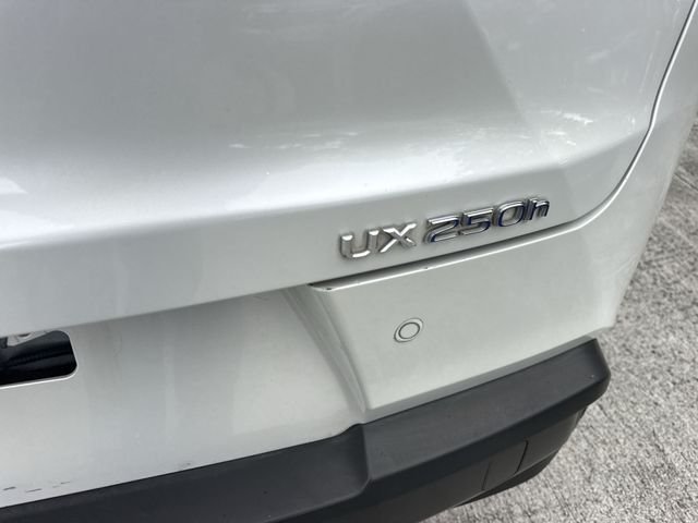 2019 Lexus UX Hybrid 250h - Photo 25