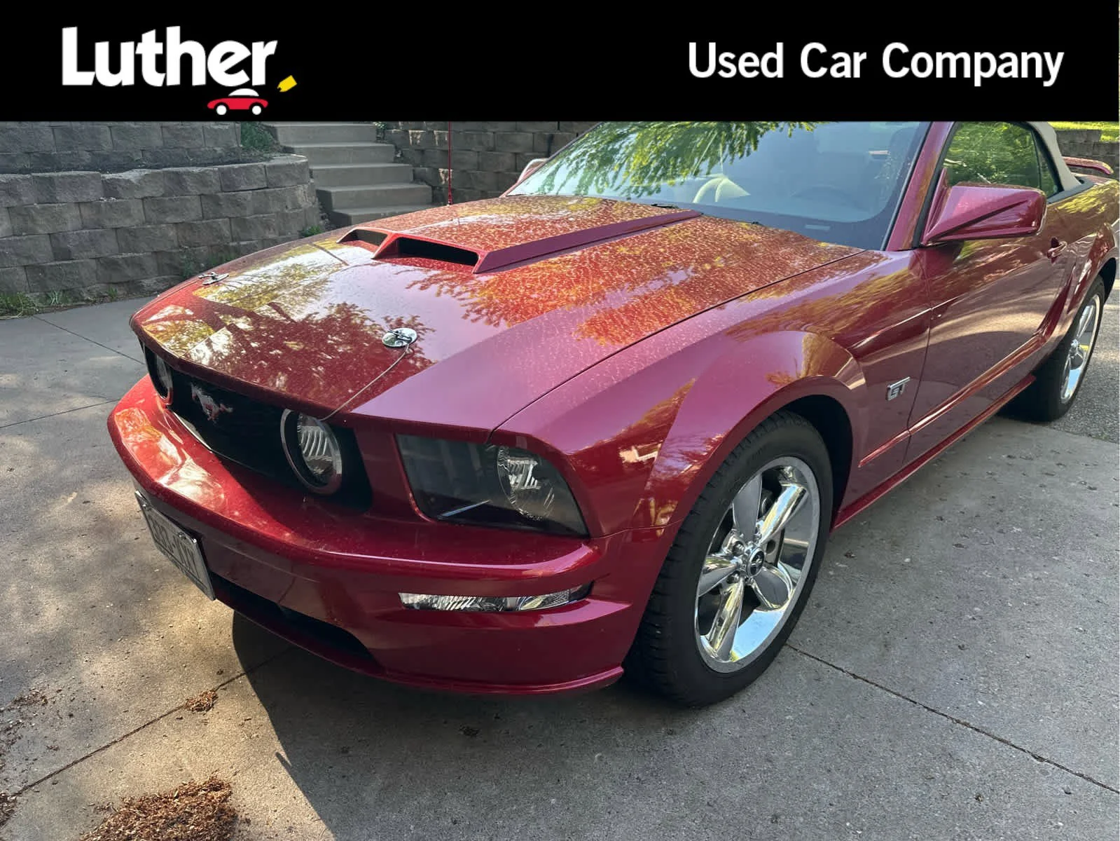2006 Ford Mustang GT Deluxe's photo