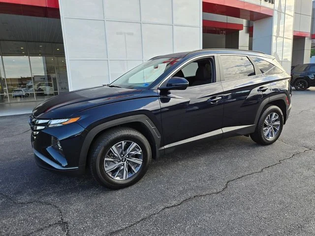 Used 2022 Blue Hyundai Blue image 3