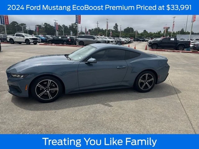 Used 2024 Oxford White Ford EcoBoost Premium image 1