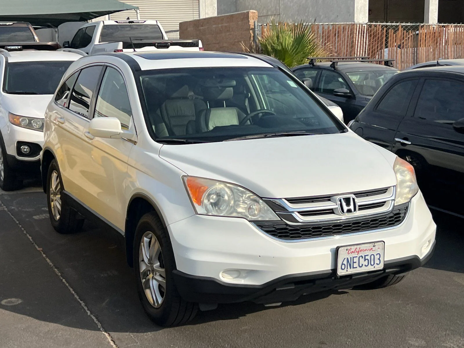 Used 2010  Honda EX-L image 2