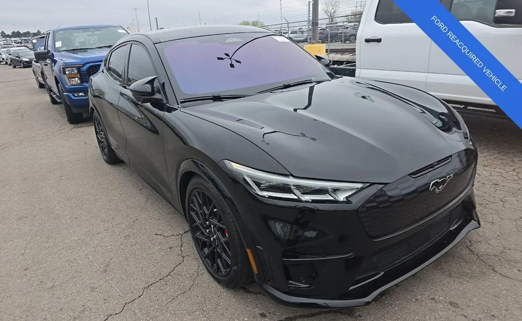 2023 Ford Mustang-Mach-e GT's photo