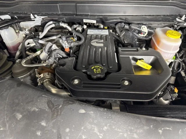 Used 2025 White Ram Limited image 9