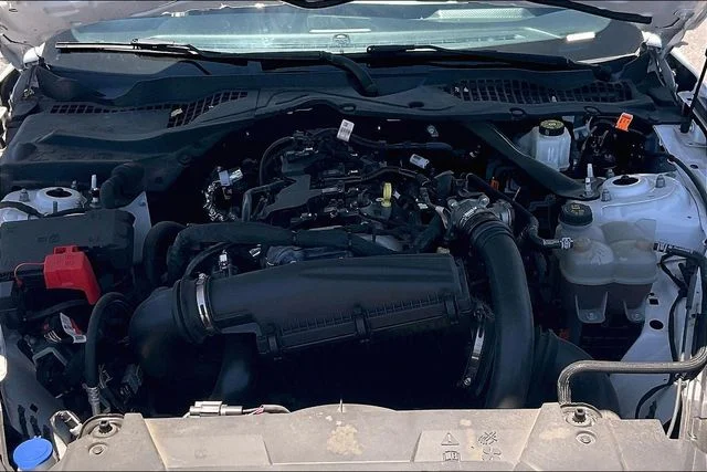 Used 2024 White Ford EcoBoost Premium image 9