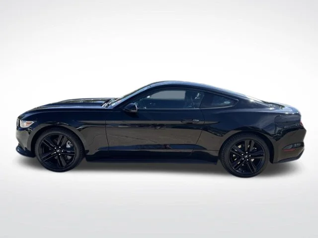 Used 2016 Black Ford EcoBoost Premium image 6
