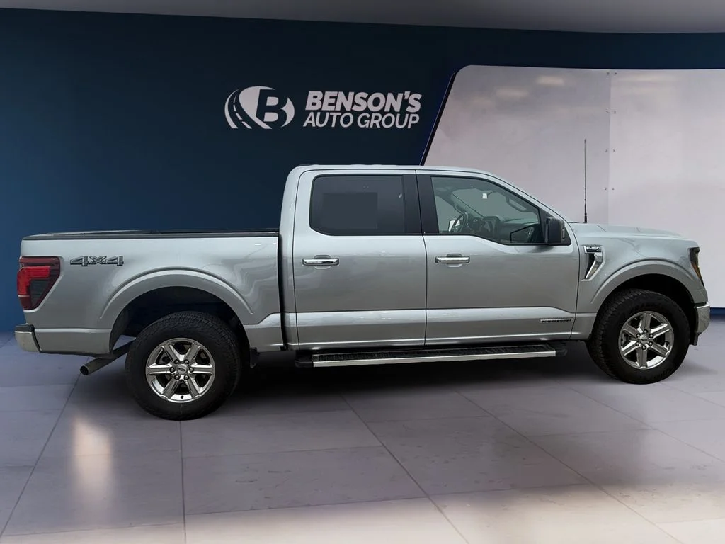 Used 2025 Silver Ford XLT image 6