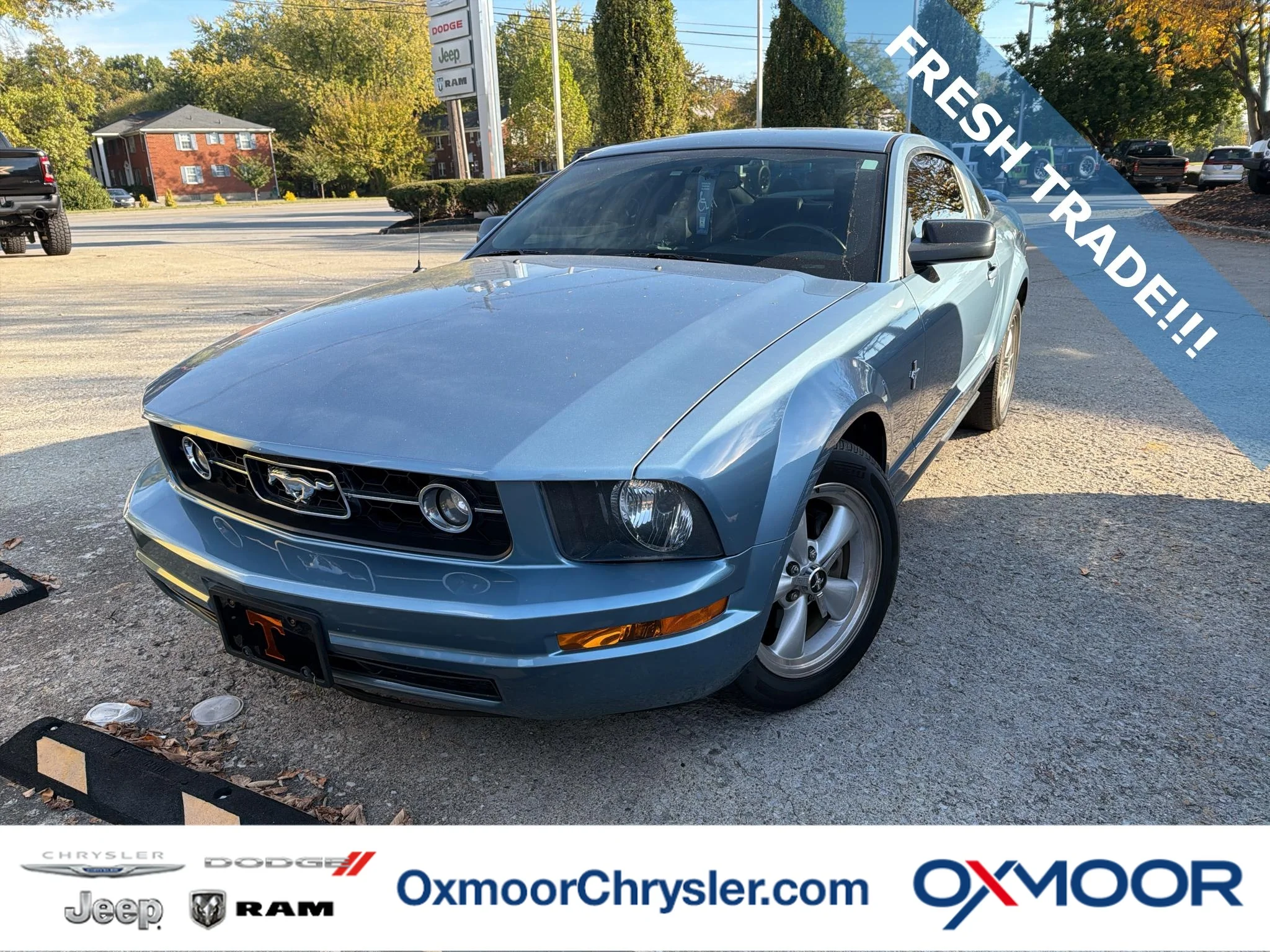 Used 2005 Windveil Blue Clearcoat Metallic Ford Deluxe image 1