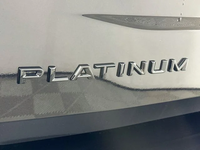 New 2027 Black Ford Platinum image 28