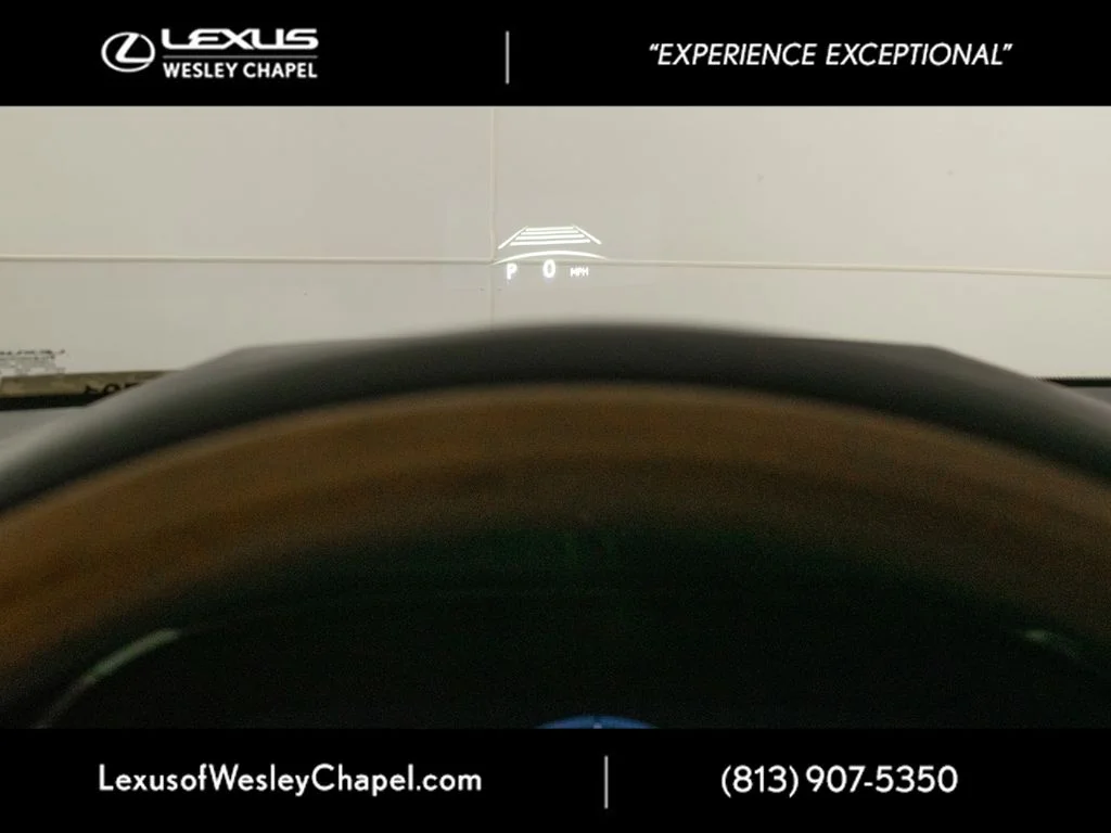 2026 Lexus RX 350 Luxury - Photo 12