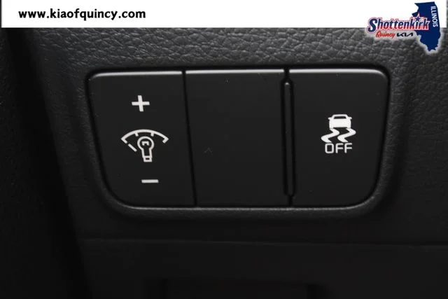 New 2026 Gray Kia LXS image 24