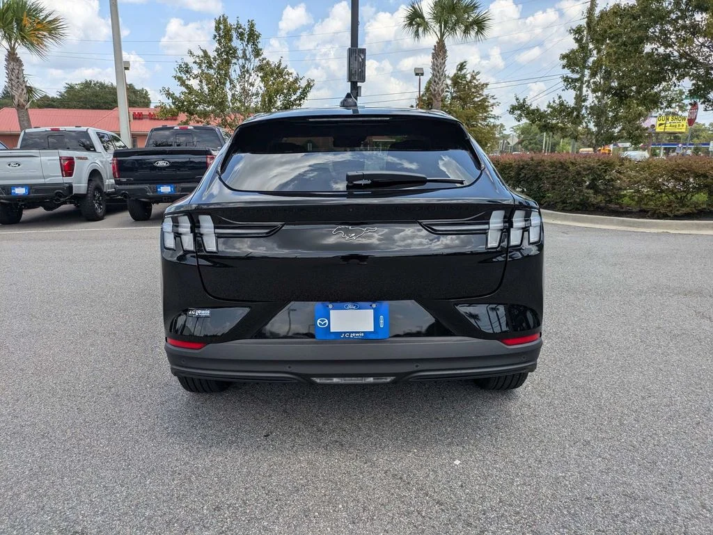 New 2026 Shadow Black Ford Premium image 5
