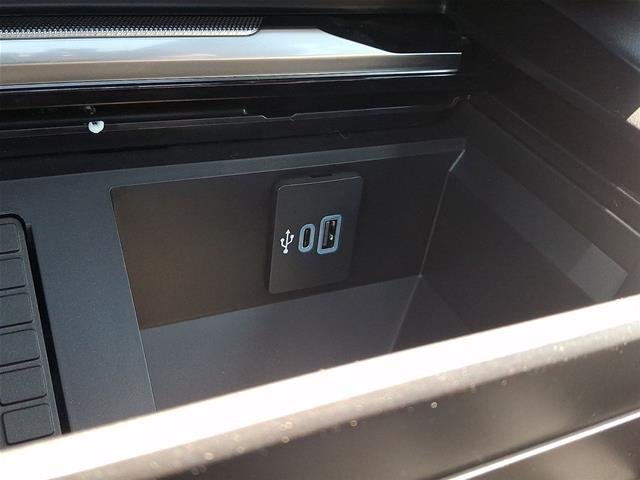 New 2026 Carbonized Gray Metallic Ford F-250® Platinum® image 37