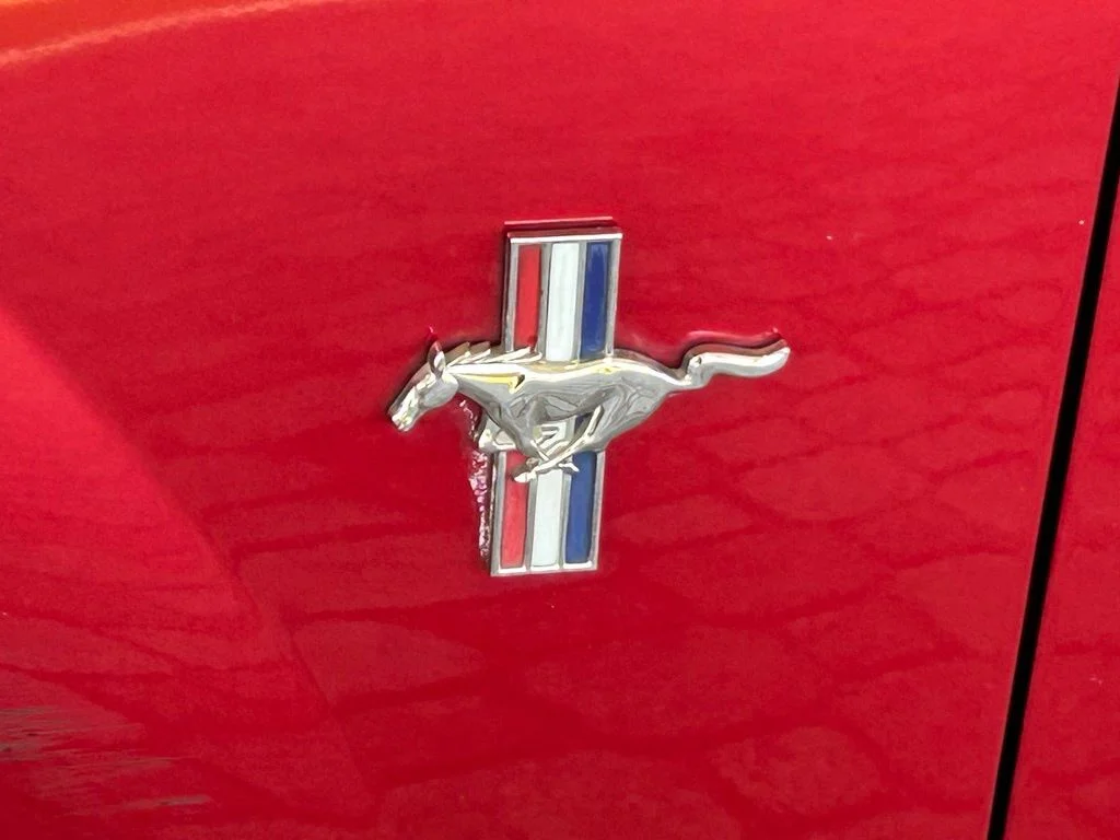 Used 2003 Red Ford V6 image 14