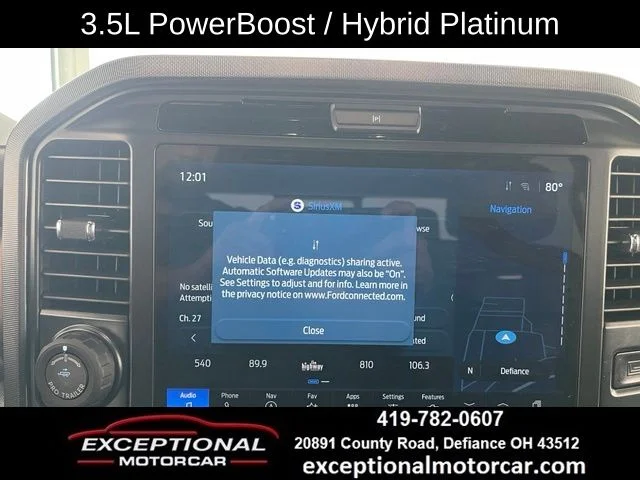 Used 2025 Gray Ford Platinum image 41