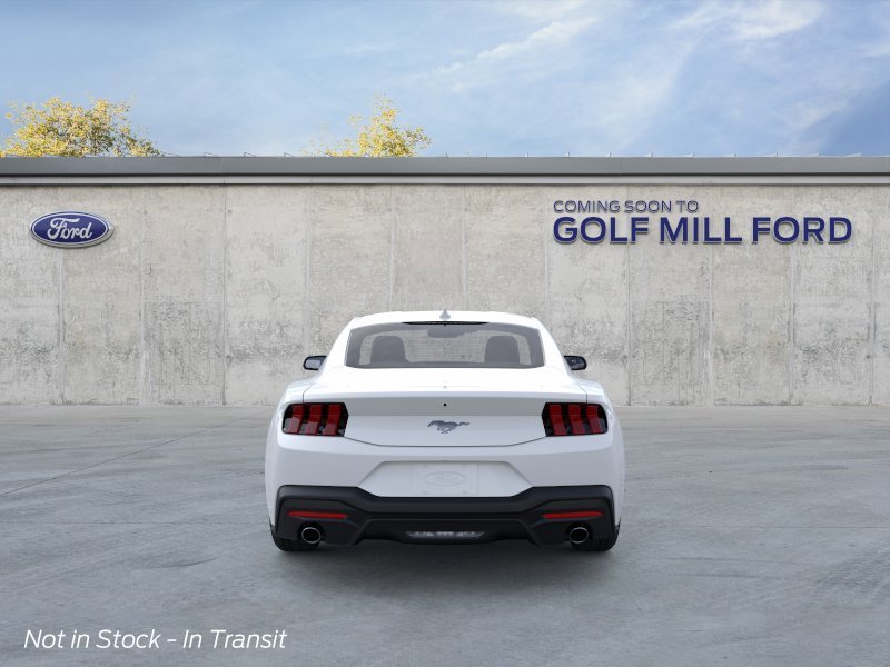 New 2026 Oxford White Ford EcoBoost image 5