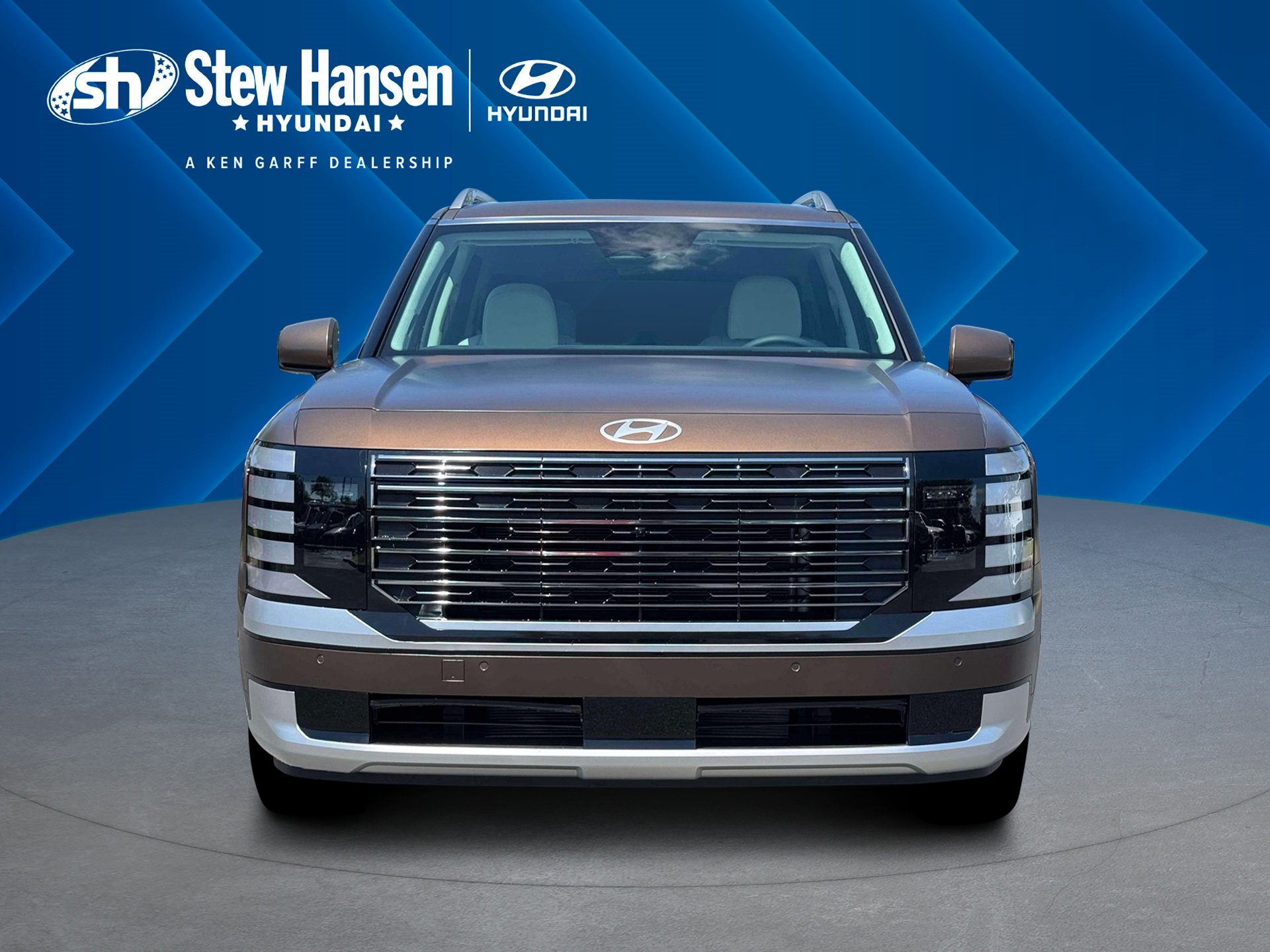 New 2026 Earthy Brass Matte Hyundai Calligraphy image 12