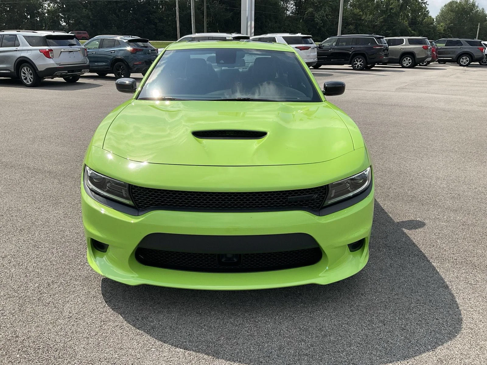 Used 2023 F8 Green Dodge GT image 2