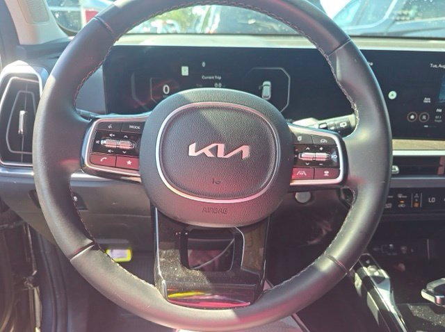 Used 2025 Panthera Metal Kia SX image 11